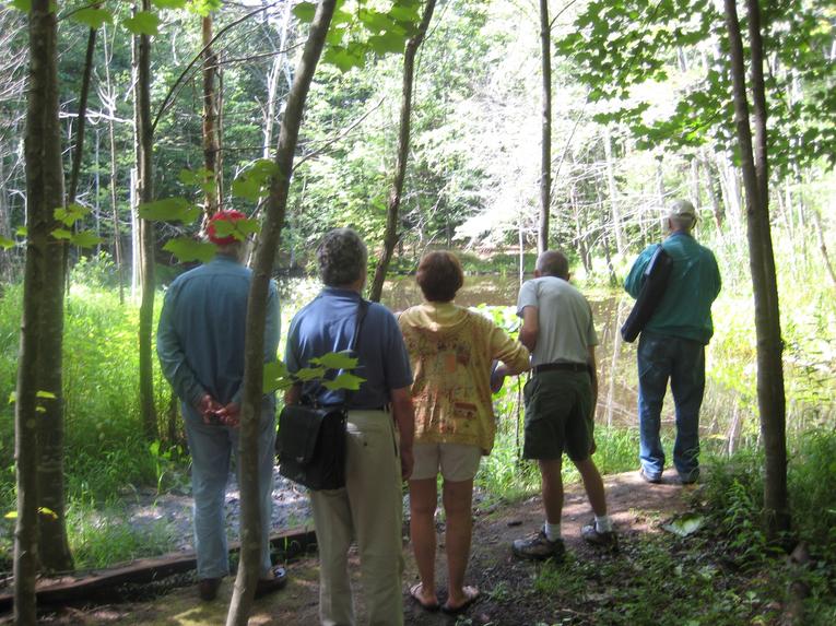 Nature Walk