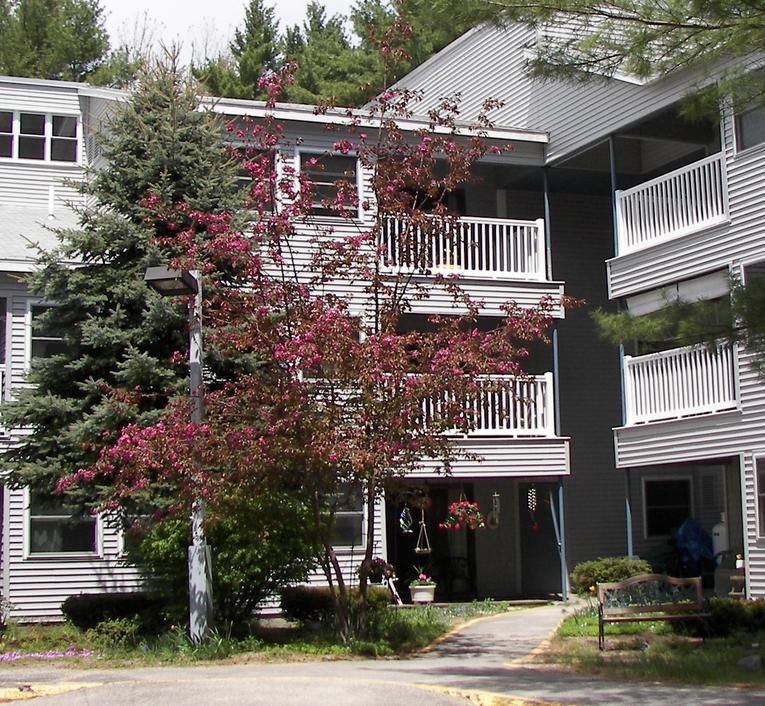 Back of Pinewood Manor
