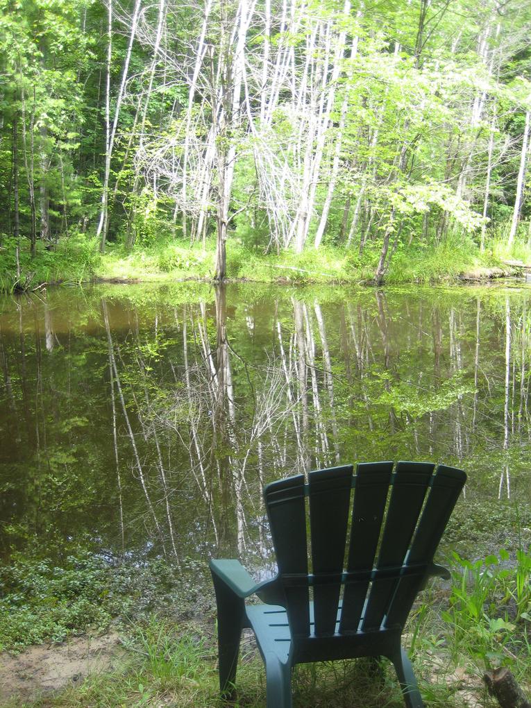 Zen by the Pond