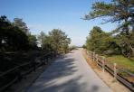 Ferry Beach