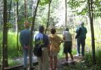 Nature Walk