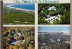 The Pines for All Seasons