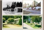 Through the Years