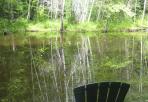Zen by the Pond